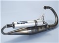 Polini Exhaust Polini Minarelli stehend Team2 BOOSTER Freund BWS