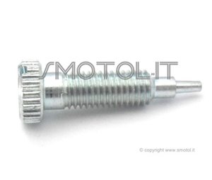 Vite carburatore per APE TM P703 P501 P601 APE CAR