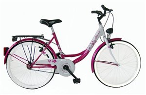 Bici OLANDA 26