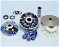 Polini Variator Rollen 9 SUPER SPEED EVOLUTION PIAGGIO D.14, 8 Tradurre