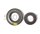 Serie paraolio motore completa per APE MP 601