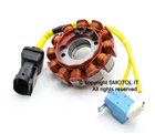 Stator Schwungrad für original PIAGGIO BEVERLY 125 4t